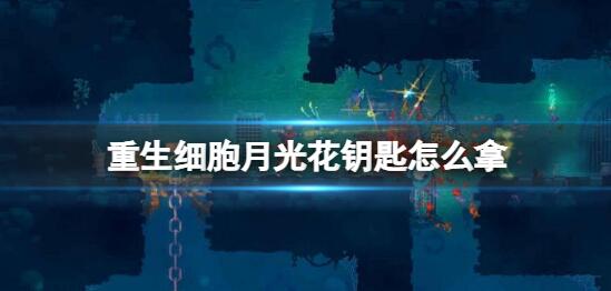 重生细胞月光花钥匙怎么拿 重生细胞月光花钥匙获取方法