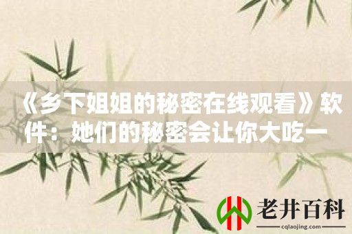 《乡下姐姐的秘密在线观看》软件：她们的秘密会让你大吃一惊！