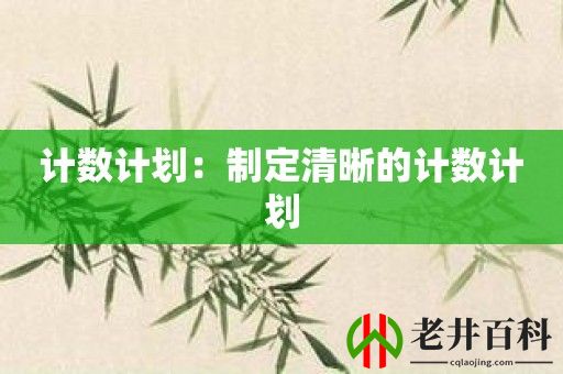 计数计划：制定清晰的计数计划