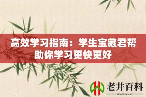 高效学习指南：学生宝藏君帮助你学习更快更好