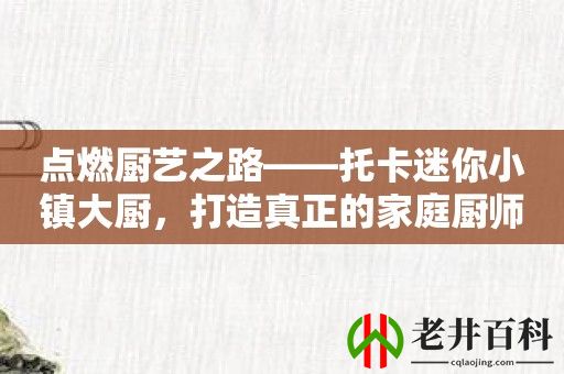 点燃厨艺之路——托卡迷你小镇大厨，打造真正的家庭厨师