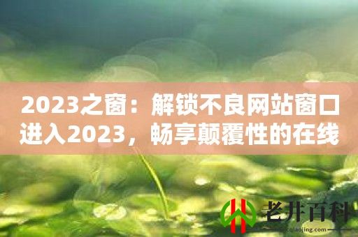 2023之窗：解锁不良网站窗口进入2023，畅享颠覆性的在线体验