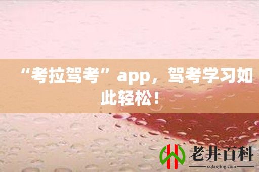 “考拉驾考”app，驾考学习如此轻松！