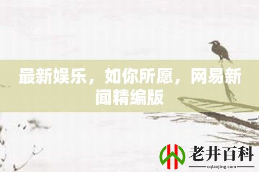 最新娱乐，如你所愿，网易新闻精编版