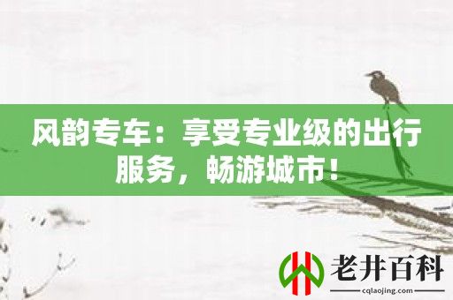 风韵专车：享受专业级的出行服务，畅游城市！