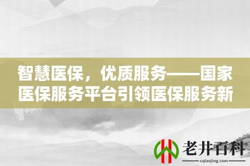 智慧医保，优质服务——国家医保服务平台引领医保服务新时代