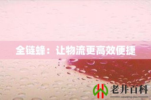 全链蜂：让物流更高效便捷