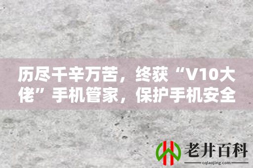 历尽千辛万苦，终获“V10大佬”手机管家，保护手机安全无忧！