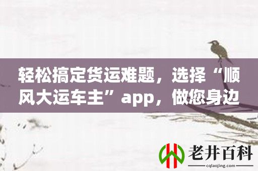 轻松搞定货运难题，选择“顺风大运车主”app，做您身边的物流专家