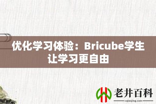 优化学习体验：Bricube学生让学习更自由