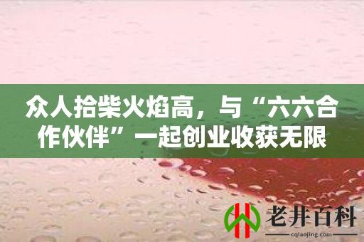 众人拾柴火焰高，与“六六合作伙伴”一起创业收获无限