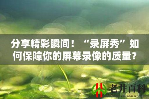 分享精彩瞬间！“录屏秀”如何保障你的屏幕录像的质量？