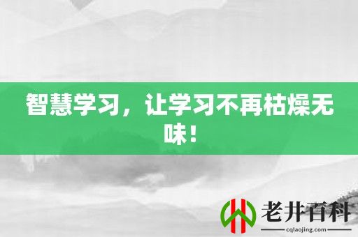 智慧学习，让学习不再枯燥无味！