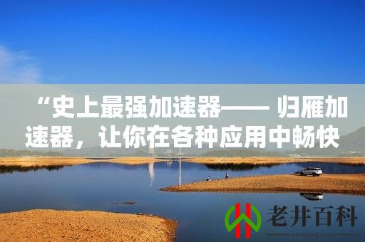 “史上最强加速器—— 归雁加速器，让你在各种应用中畅快无比”