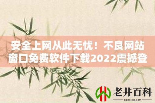 安全上网从此无忧！不良网站窗口免费软件下载2022震撼登场！