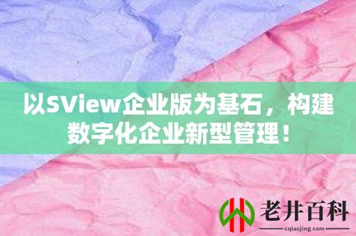 以SView企业版为基石，构建数字化企业新型管理！