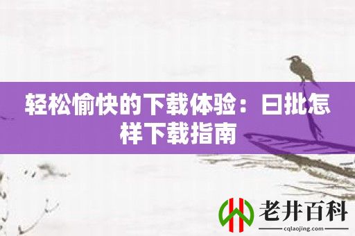 轻松愉快的下载体验：曰批怎样下载指南