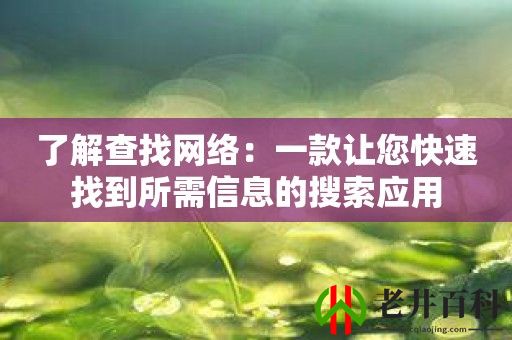 了解查找网络：一款让您快速找到所需信息的搜索应用