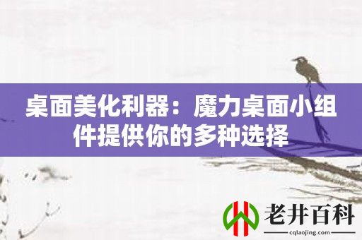 桌面美化利器：魔力桌面小组件提供你的多种选择