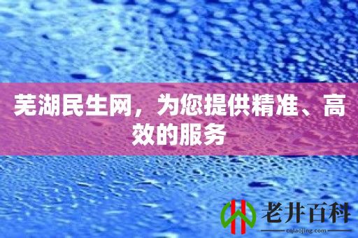 芜湖民生网，为您提供精准、高效的服务