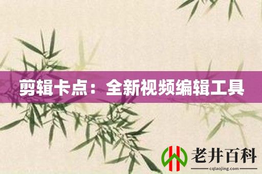 剪辑卡点：全新视频编辑工具