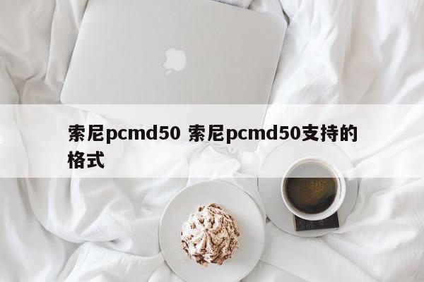 索尼pcmd50 索尼pcmd50支持的格式